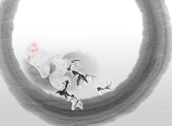 花样姐姐怎么没更新