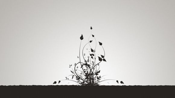 白素贞用的是什么兵器