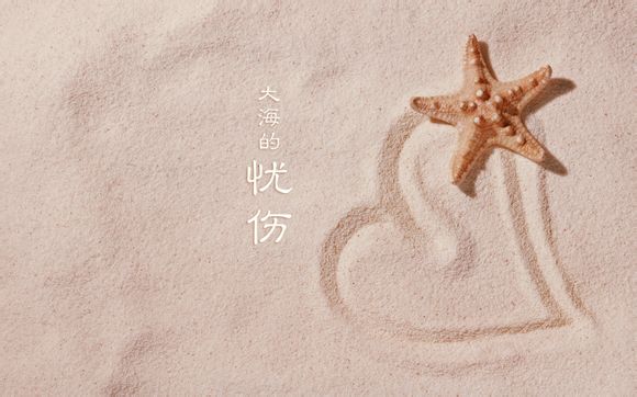 神田留美什么职业