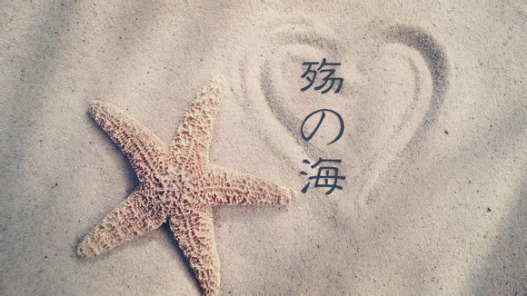相爱无伤是什么意思