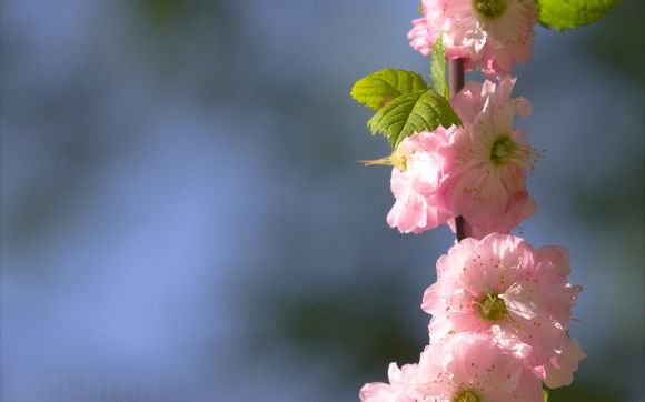 踏骂足本哪里看